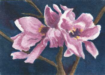 "Magnolias" by Jane Kraeuche Olson, New Glarus WI - Watercolor